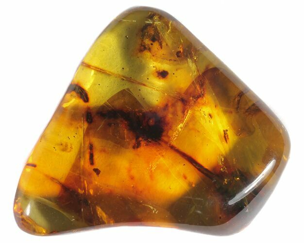 Polished Chiapas Amber With Inclusions - Mexico #50808
